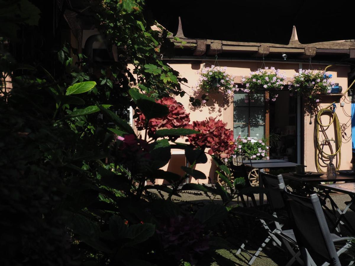 Chambres D'Hotes Chez Caroline — Photos 3